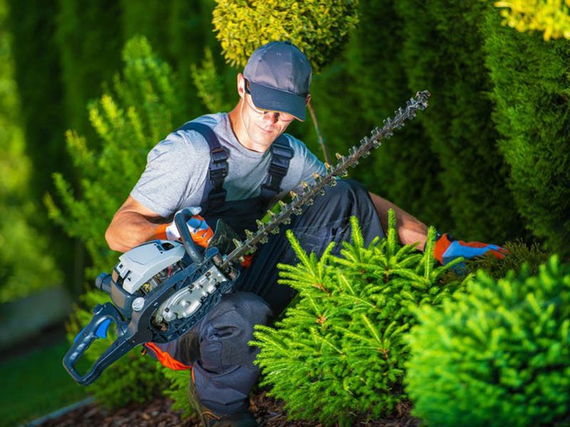 Optimisation des espaces verts